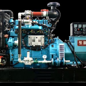 10KW沼氣燃氣發(fā)電機組