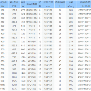 凱普200KW發電機組