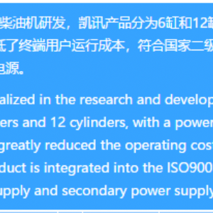 凱普300KW發電機組
